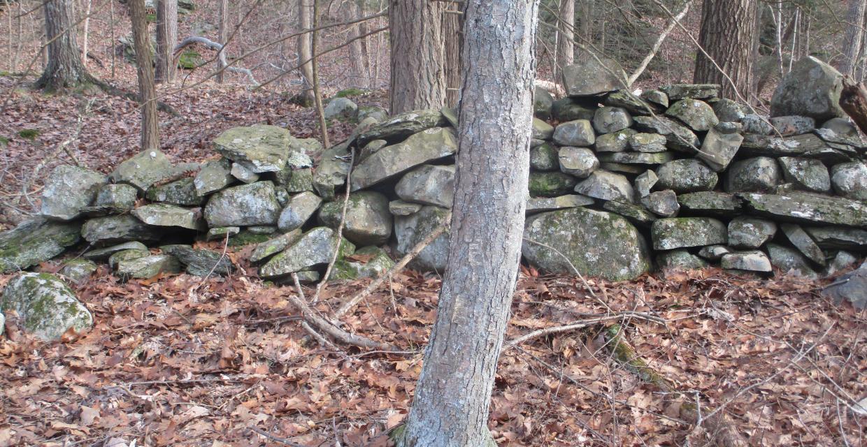 Stone wall along a trail - Photo by Daniel Chazin