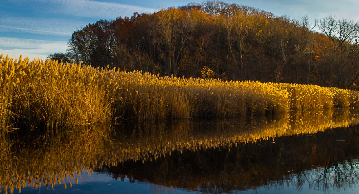 View from the Long Path in Rockland County. Piermont Marsh in Tallman State Park. Photo by Steve Aaron.
